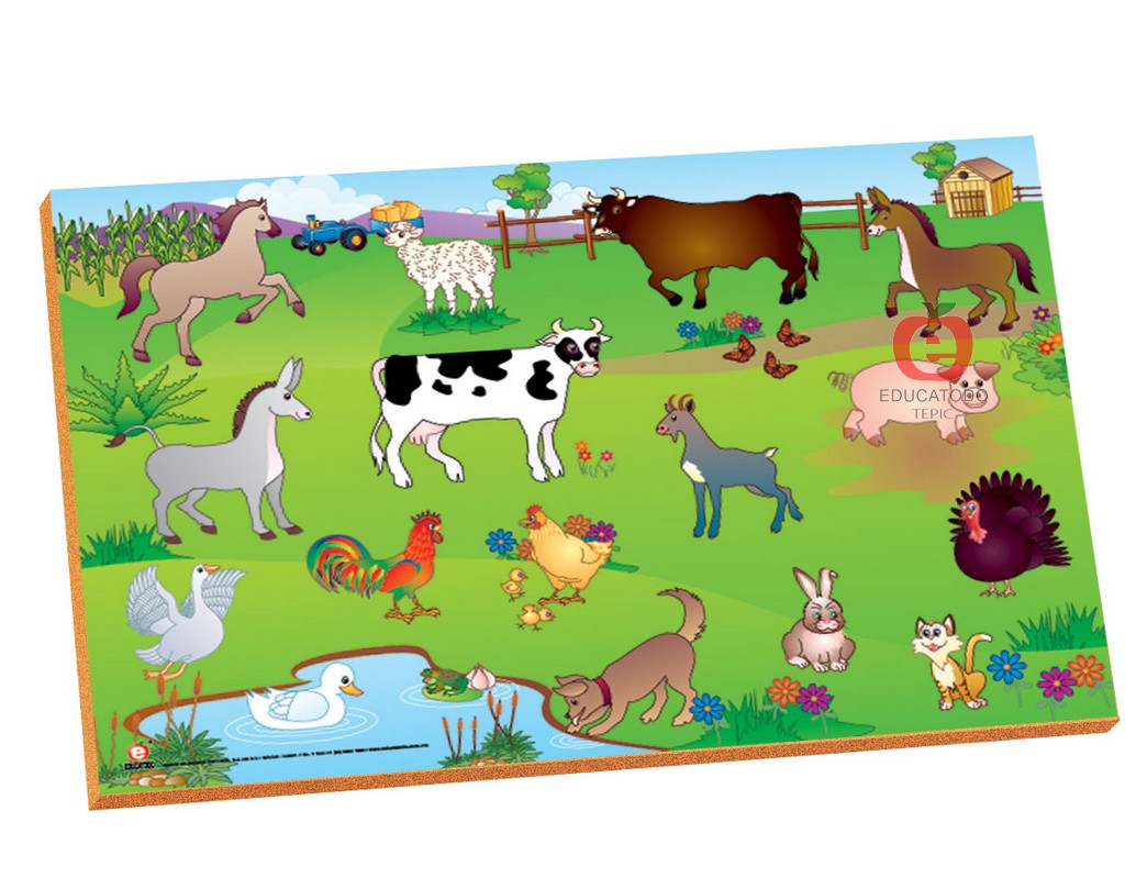 RESAQUE MAGNETICO LA GRANJA