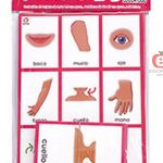 LOTERIA ARCOIRIS DE PARTES DEL CUERPO