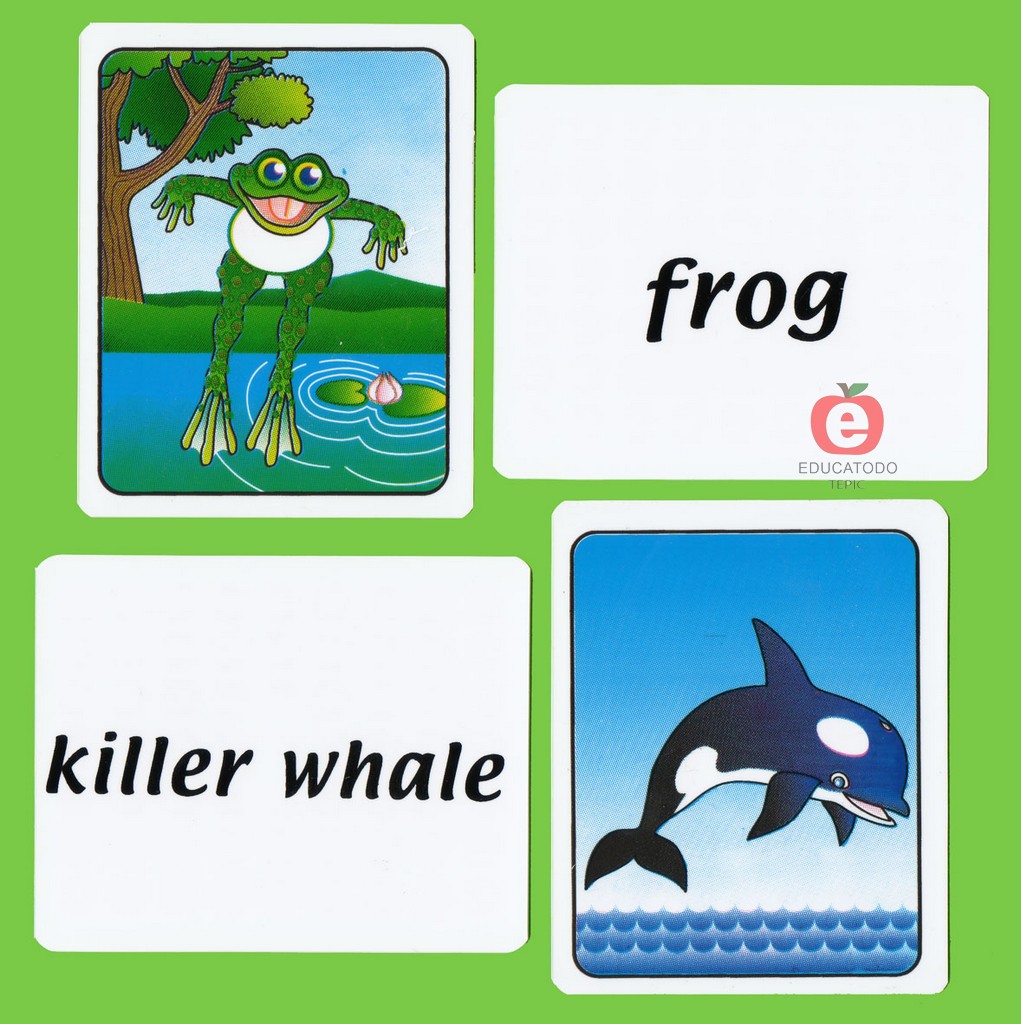 MEMORY GAME IMAGE TEXT