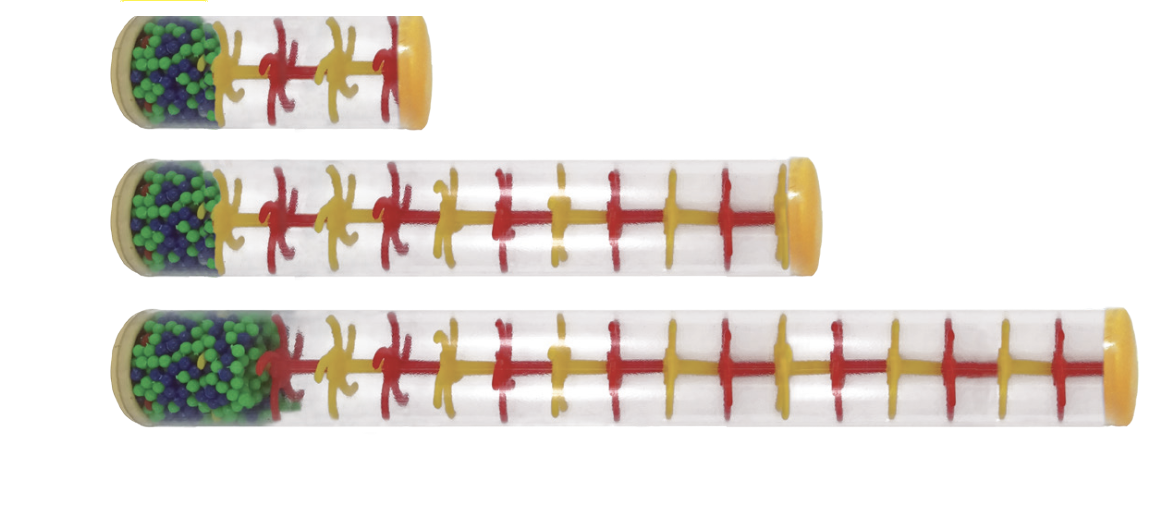 H PALO DE LLUVIA M (27.5X4.5 CM)