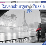 LCE TORRE EIFFEL Y EL SENA