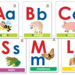 MEGA TARJETAS ABECEDARIO ASOCIACION