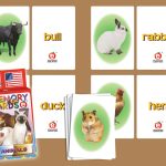 MEMORY CARDS DOMESTIC ANIMALS