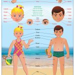 POSTER MI CUERPO / MY BODY