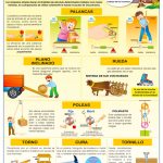 POSTER MAQUINAS SIMPLES