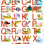 POSTER ABC ASSOCIATION