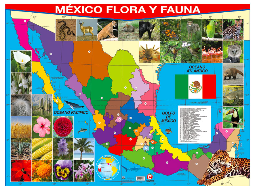 POSTER MEXICO FLORA Y FAUNA