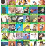 POSTER VERBS 1 / VERBS 2