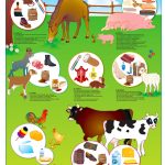 POSTER ANIMALES DE LA GRANJA Y DERIVADOS