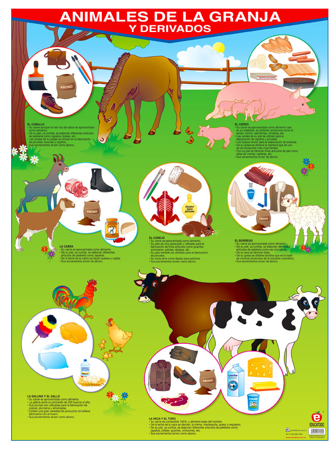 POSTER ANIMALES DE LA GRANJA Y DERIVADOS