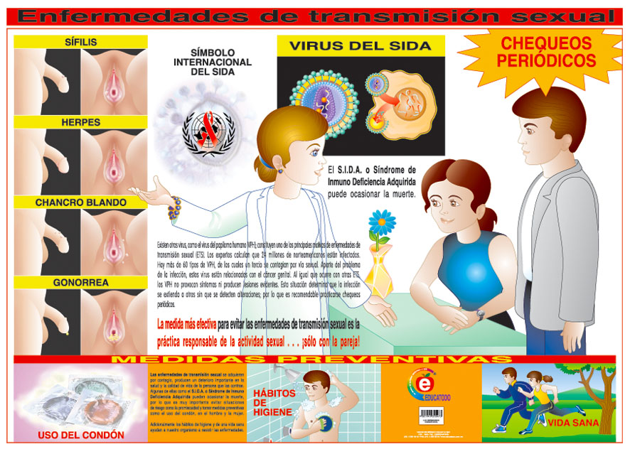 POSTER ENFERMEDADES DE TRANSMISION SEXUAL