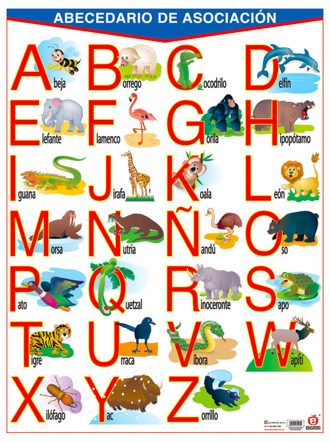 POSTER ABECEDARIO DE ASOCIACION C/B