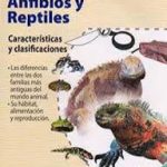 INFOLAMINAS INFO LAMINAS