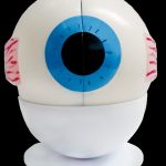 MAQUETA OJO HUMANO