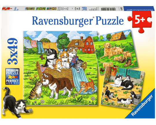 LCE GATITOS Y PERRITOS