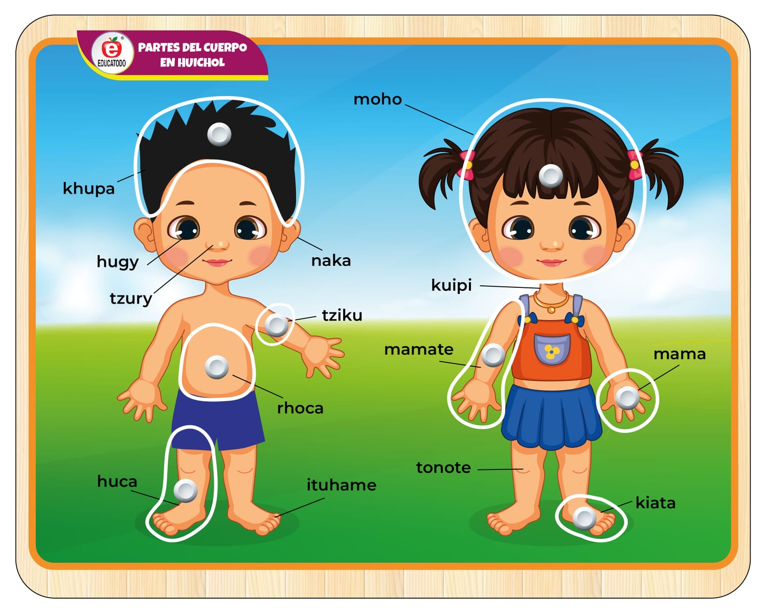 RESAQUE CON PERILLA PARTES DEL CUERPO LENGUA INDIGENA Tepehuano