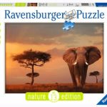 ELEFANTE DE LOS MASAIMARA