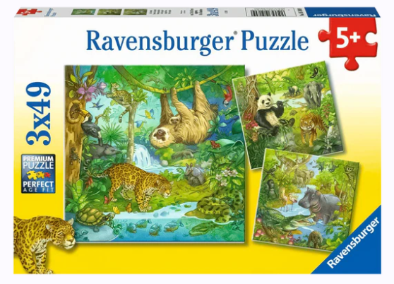 LCE JUNGLA DIVERTIDA