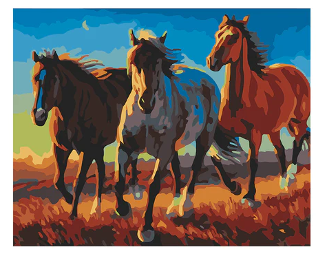 PPN 40 X 50 CABALLOS