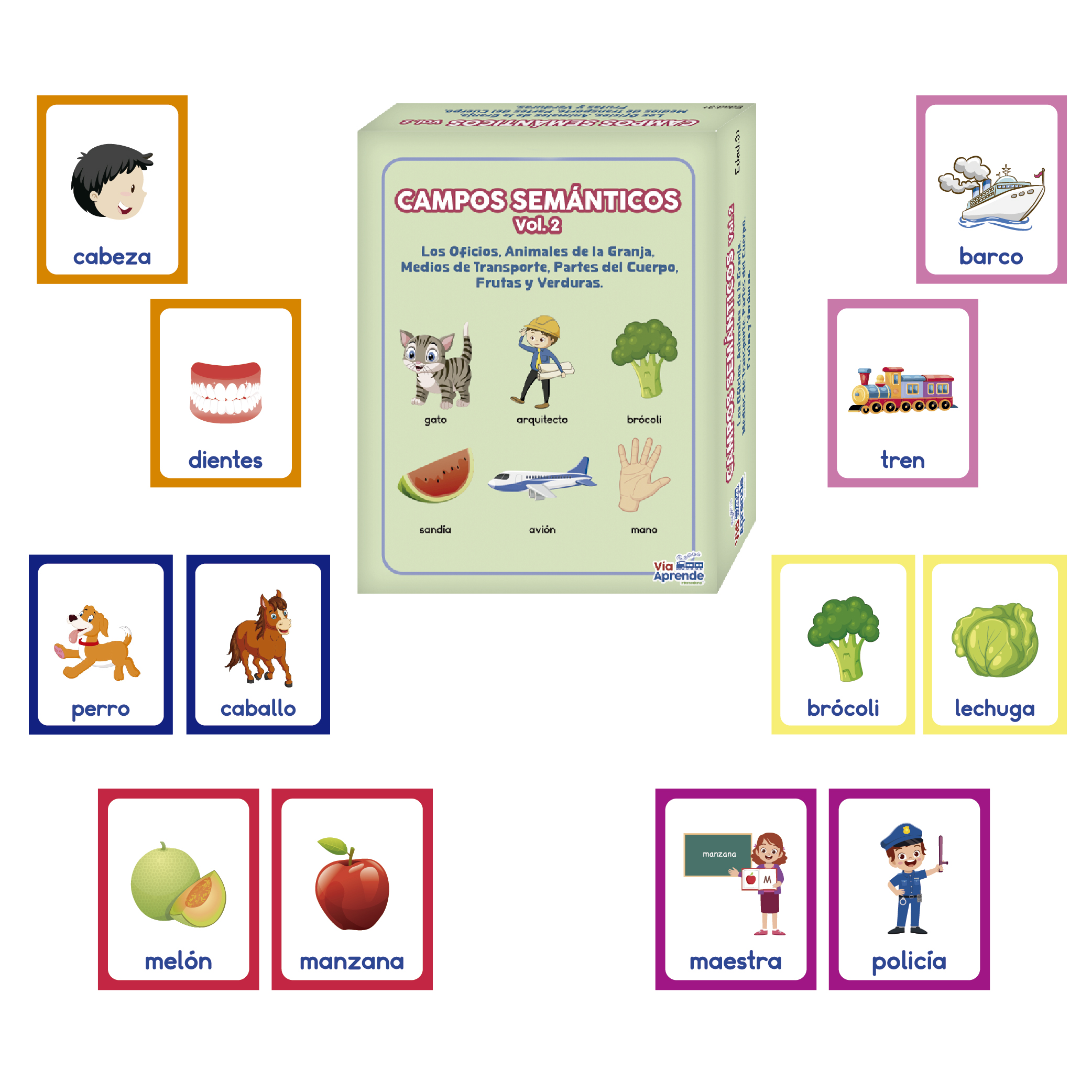 TARJETAS CAMPO SEMANTICO VOLUMEN II